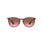 Ray Ban RB  d