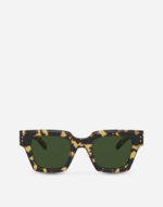 OCCHIALI DA SOLE DG Icon sunglasses Dolce&Gabbana Yellow havana