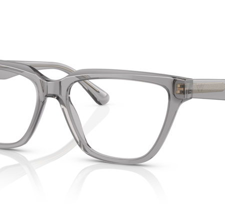 Occhiali Emporio Armani EA3208-5029 Gray Transparent 54